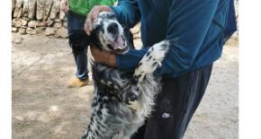 Terapia con animales en la Fundacin Pere Mata Terres de l'Ebre